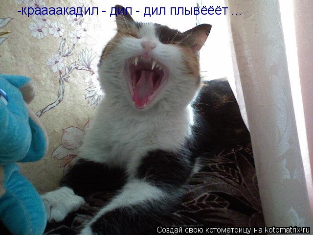 -краааакадил - дил - дил плывёёёт ...... Котоматрица: -краааакадил - дил - дил плывёёёт ...