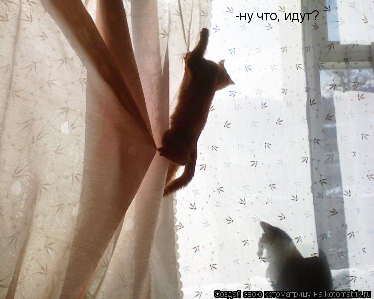 -ну что, идут?... Котоматрица: -ну что, идут?
