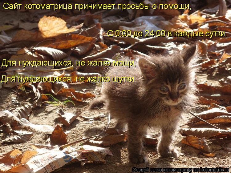 Сайт котоматрица принимает просьбы о помощи, С 0:00 до 24:00 в каждые сутки. Для нуждающихся, не жалк... Котоматрица: Сайт котоматрица принимает просьбы о помощи, С 0:00 до 24:00 в каждые сутки. Для нуждающихся, не жалко мощи, Для нуждающихся, не жалко шутки.