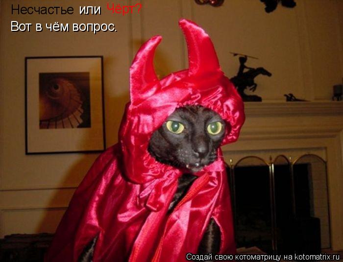 Котоматрица: Несчастье или Чёрт? Вот в чём вопрос.