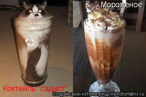 Котоматрица: Мороженое Коктейль "садист"