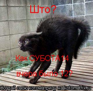 Котоматрица: Што? Как СУБОТА14 вчера было 12?