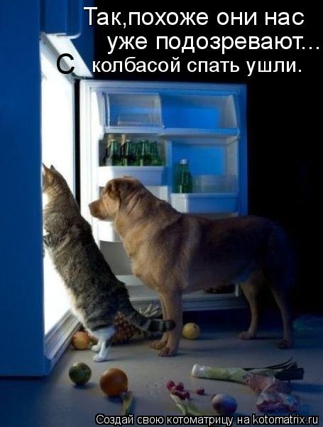 Так,похоже они нас уже подозревают... С колбасой спать ушли.... Котоматрица: Так,похоже они нас уже подозревают... С колбасой спать ушли.