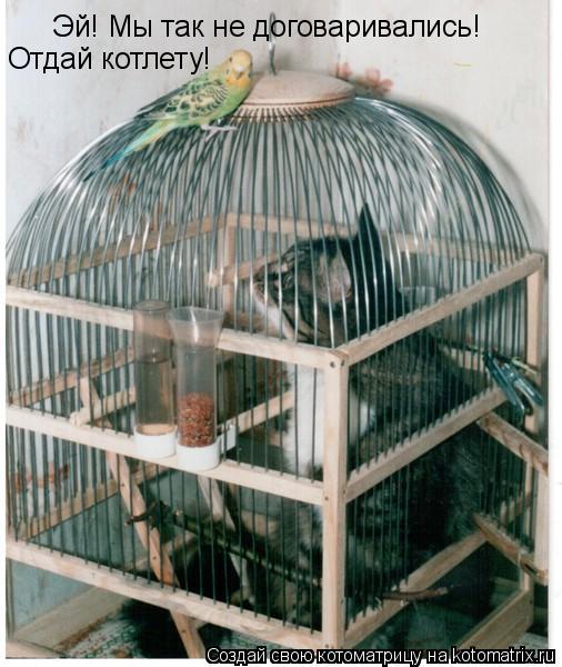 Эй! Мы так не договаривались! Отдай котлету!... Котоматрица: Эй! Мы так не договаривались! Отдай котлету!