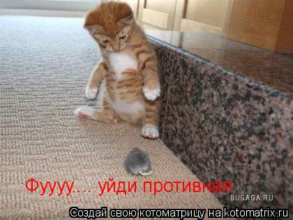 Котоматрица: Фуууу.... уйди противная
