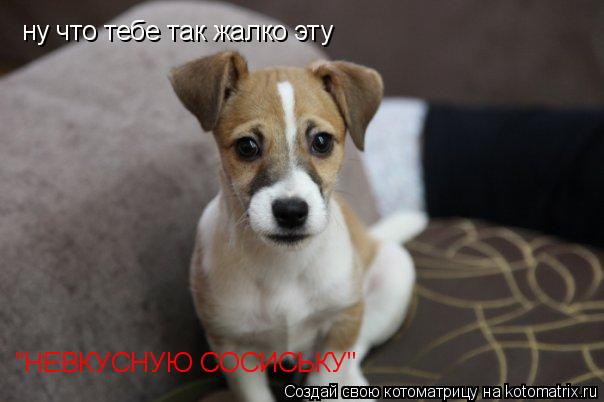 ну что тебе так жалко эту "НЕВКУСНУЮ СОСИСЬКУ"... Котоматрица: ну что тебе так жалко эту "НЕВКУСНУЮ СОСИСЬКУ"