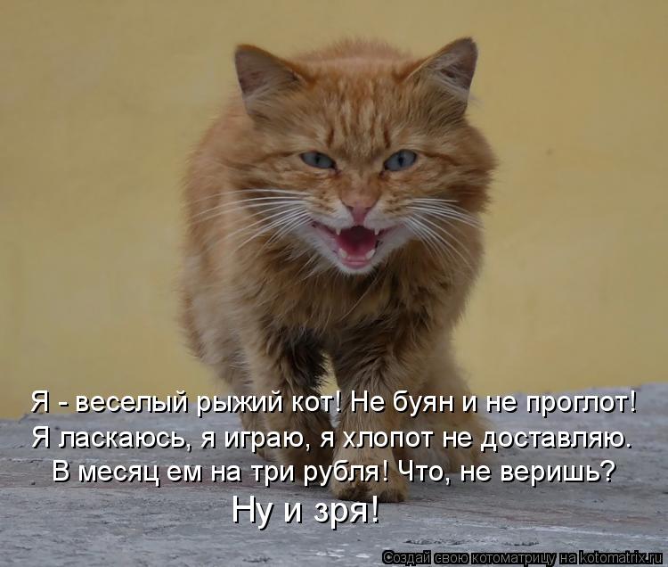 Я - веселый рыжий кот! Не буян и не проглот! Я ласкаюсь, я играю, я хлопот не доставляю. В месяц ем н... Котоматрица: Я - веселый рыжий кот! Не буян и не проглот! Я ласкаюсь, я играю, я хлопот не доставляю. В месяц ем на три рубля! Что, не веришь? Ну и зря!