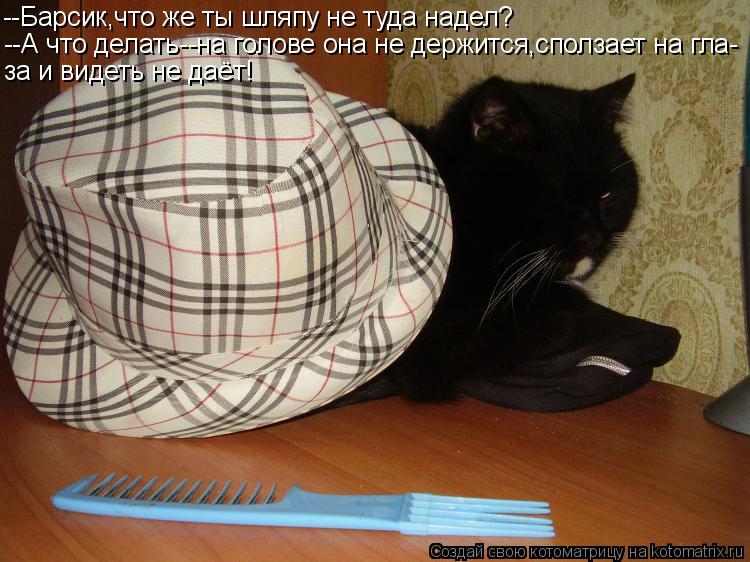 --Барсик,что же ты шляпу не туда надел? --А что делать--на голове она не держится,сползает на гла- за... Котоматрица: --Барсик,что же ты шляпу не туда надел? --А что делать--на голове она не держится,сползает на гла- за и видеть не даёт!