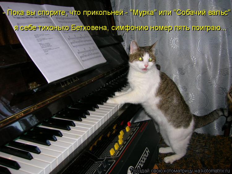 - Пока вы спорите, что прикольней - "Мурка" или "Собачий вальс" я себе тихонько Бетховена, симфонию н... Котоматрица: - Пока вы спорите, что прикольней - "Мурка" или "Собачий вальс" я себе тихонько Бетховена, симфонию номер пять поиграю...