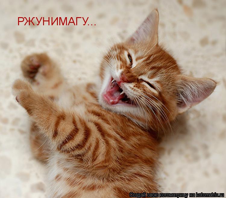 РЖУНИМАГУ...... Котоматрица: РЖУНИМАГУ...
