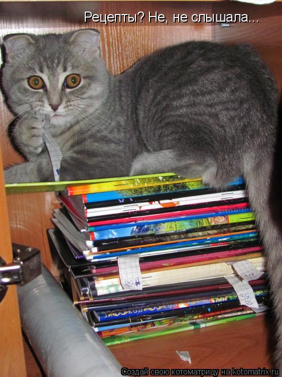 Рецепты? Не, не слышала...... Котоматрица: Рецепты? Не, не слышала...