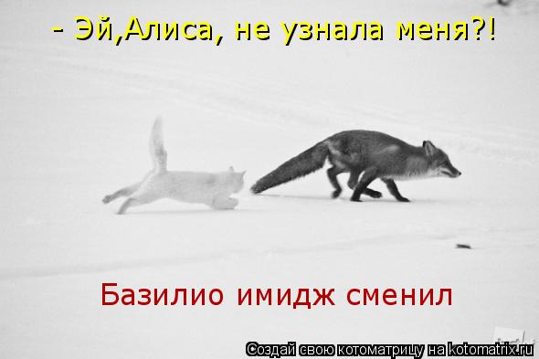 - Эй,Алиса, не узнала меня?! Базилио имидж сменил... Котоматрица: - Эй,Алиса, не узнала меня?! Базилио имидж сменил
