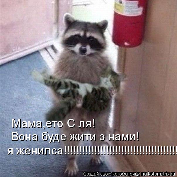 Мама,ето Сіля! Вона буде жити з нами! я женилса!!!!!!!!!!!!!!!!!!!!!!!!!!!!!!!!!!!!!!... Котоматрица: Мама,ето Сіля! Вона буде жити з нами! я женилса!!!!!!!!!!!!!!!!!!!!!!!!!!!!!!!!!!!!!!