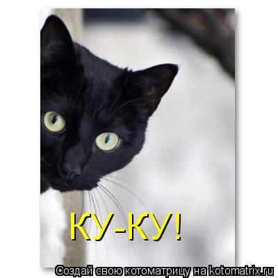 КУ-КУ!... Котоматрица: КУ-КУ!