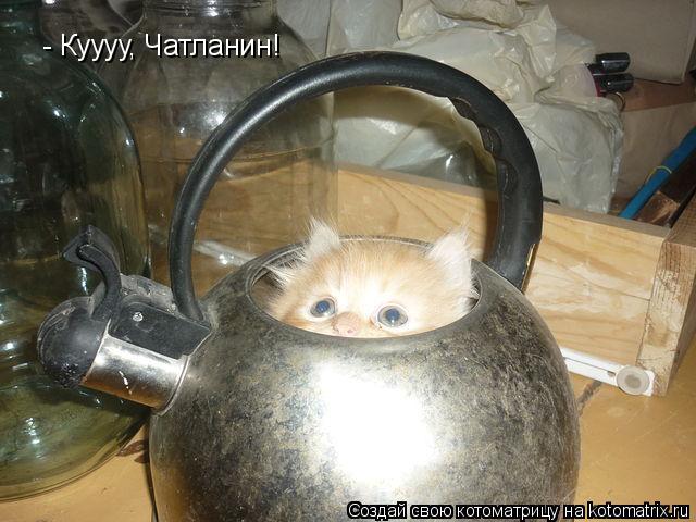 - Куууу, Чатланин!... Котоматрица: - Куууу, Чатланин!