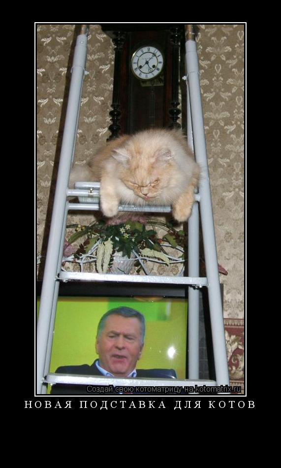 Котоматрица: Новая подставка для котов 