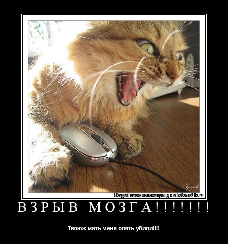 Котоматрица: ВЗРЫВ МОЗГА!!!!!!! Твоюж мать меня опять убили!!!!