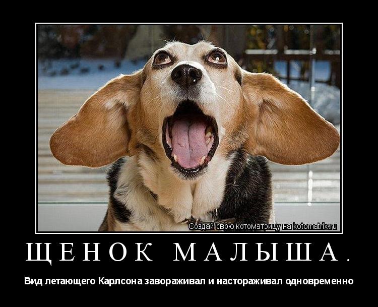 Котоматрица: Щенок малыша. Вид летающего Карлсона завораживал и настораживал одновременно