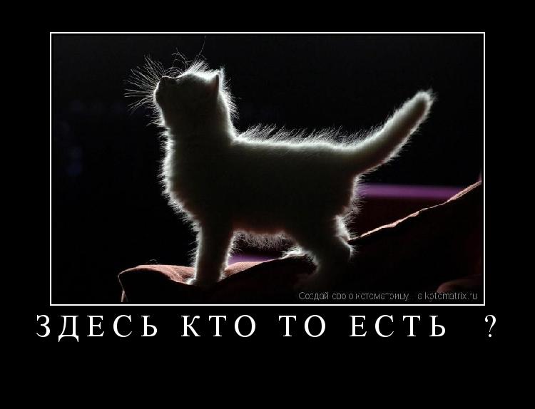 Котоматрица: здесь кто то есть  ? 