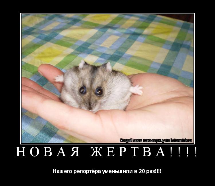Котоматрица: Новая жертва!!!! Нашего репортёра уменьшили в 20 раз!!!!