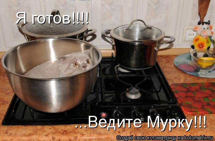 Котоматрица: Я готов!!!! ...Ведите Мурку!!!