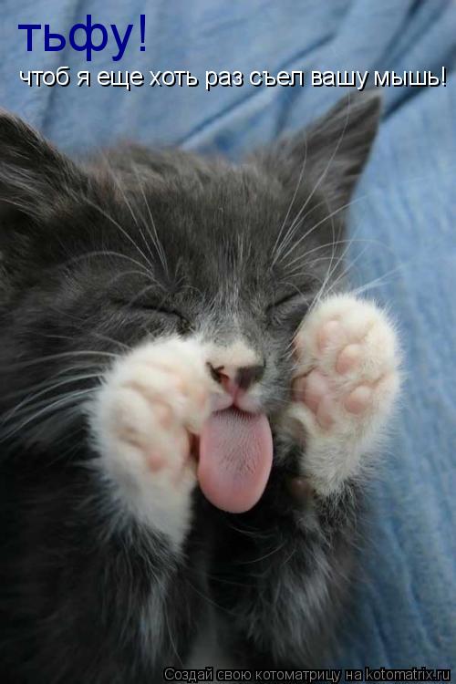 Котоматрица: тьфу!  чтоб я еще хоть раз съел вашу мышь!
