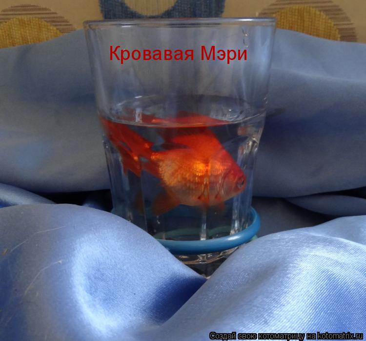 Котоматрица: Кровавая Мэри