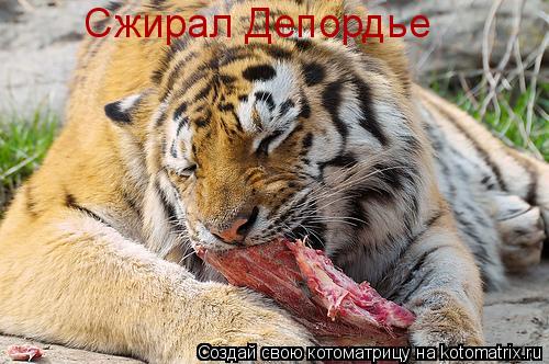 Котоматрица: Сжирал Депордье