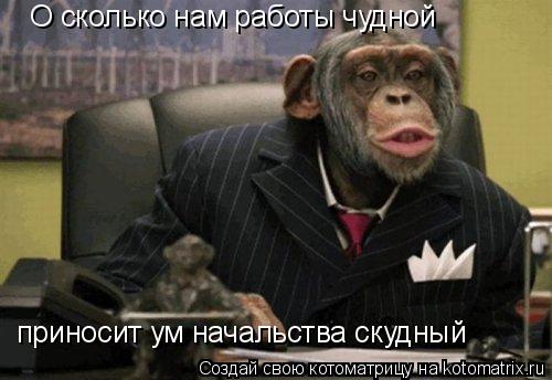 О сколько нам работы чудной приносит ум начальства скудный... Котоматрица: О сколько нам работы чудной приносит ум начальства скудный