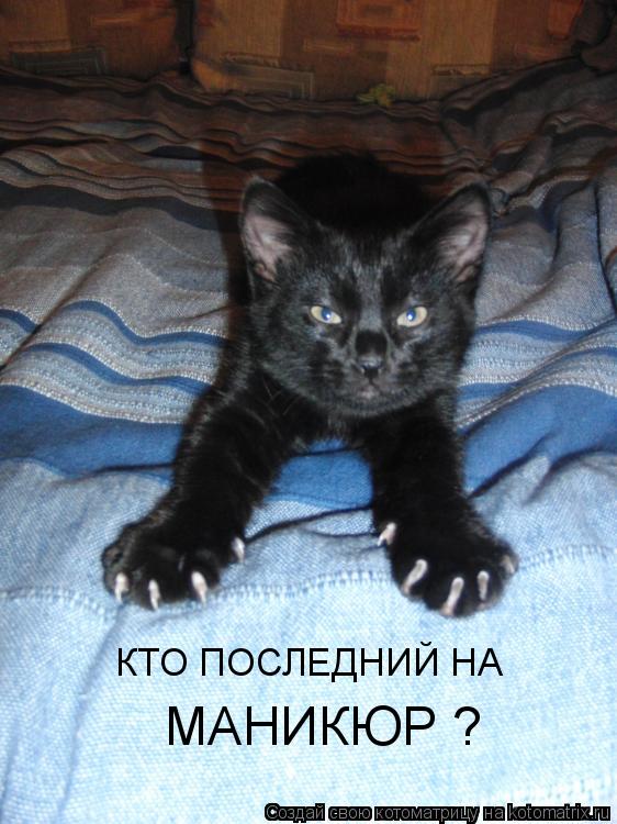 КТО ПОСЛЕДНИЙ НА МАНИКЮР ?... Котоматрица: КТО ПОСЛЕДНИЙ НА МАНИКЮР ?