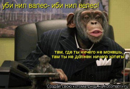 уби нил валес- иби нил велес! там, где ты ничего не можешь, там ты не должен ничего хотеть!... Котоматрица: уби нил валес- иби нил велес! там, где ты ничего не можешь, там ты не должен ничего хотеть!