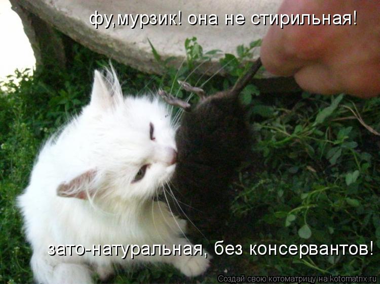 фу,мурзик! она не стирильная! зато-натуральная, без консервантов!... Котоматрица: фу,мурзик! она не стирильная! зато-натуральная, без консервантов!