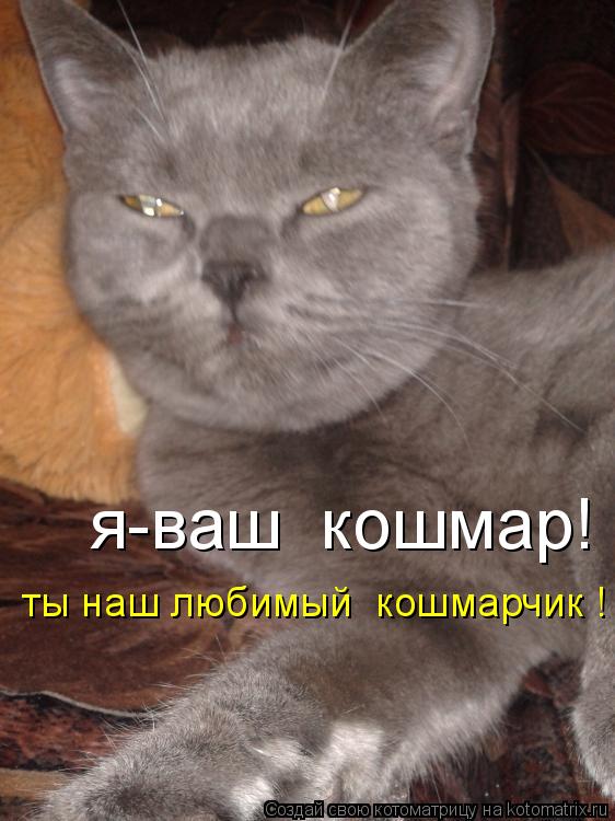 я-ваш кошмар! ты наш любимый кошмарчик !... Котоматрица: я-ваш кошмар! ты наш любимый кошмарчик !