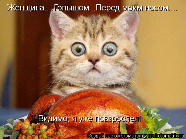 Женщина....Голышом...Перед моим носом.... Видимо, я уже повзрослел!... Котоматрица: Женщина....Голышом...Перед моим носом.... Видимо, я уже повзрослел!