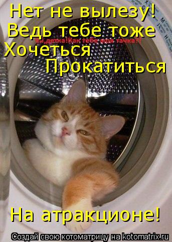 Нет не вылезу! Ведь тебе тоже Хочеться Прокатиться На атракционе!... Котоматрица: Нет не вылезу! Ведь тебе тоже Хочеться Прокатиться На атракционе!