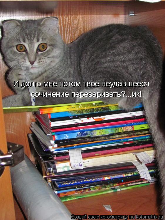 И долго мне потом твое неудавшееся сочинение переваривать?...ик!... Котоматрица: И долго мне потом твое неудавшееся сочинение переваривать?...ик!