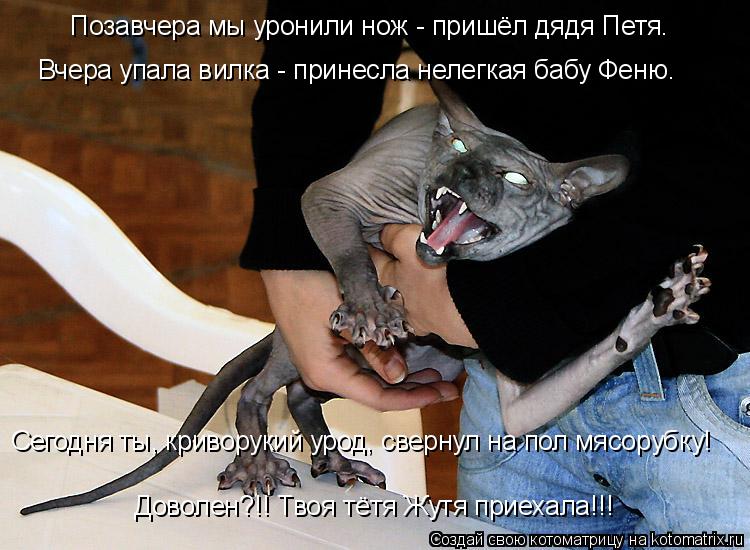 Позавчера мы уронили нож - пришёл дядя Петя. Вчера упала вилка - принесла нелегкая бабу Феню. Сегодня... Котоматрица: Позавчера мы уронили нож - пришёл дядя Петя. Вчера упала вилка - принесла нелегкая бабу Феню. Сегодня ты, криворукий урод, свернул на пол мясо