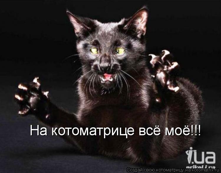 На котоматрице всё моё!!!... Котоматрица: На котоматрице всё моё!!!