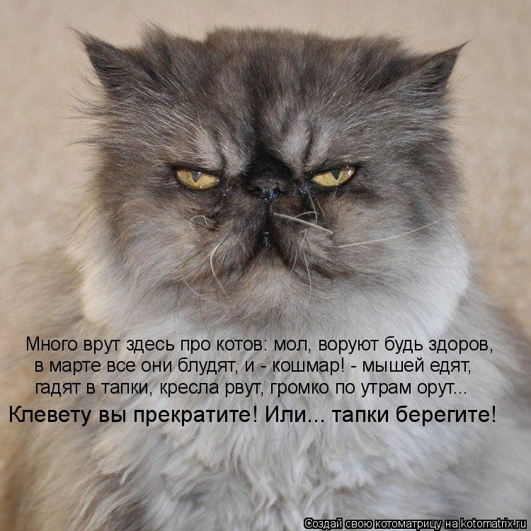 Много врут здесь про котов: мол, воруют будь здоров, в марте все они блудят, и - кошмар! - мышей едят... Котоматрица: Много врут здесь про котов: мол, воруют будь здоров, в марте все они блудят, и - кошмар! - мышей едят, гадят в тапки, кресла рвут, громко по утрам