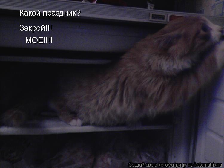 Какой праздник? Закрой!!! МОЕ!!!!... Котоматрица: Какой праздник? Закрой!!! МОЕ!!!!