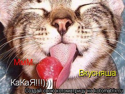 МмМ... Вкусняша КаКаЯ!!!)))... Котоматрица: МмМ... Вкусняша КаКаЯ!!!)))