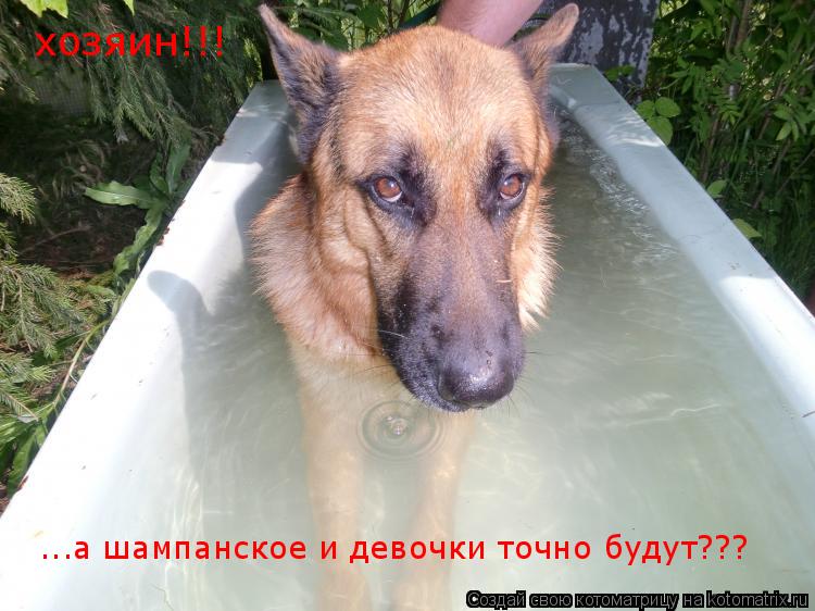 хозяин!!! ...а шампанское и девочки точно будут???... Котоматрица: хозяин!!! ...а шампанское и девочки точно будут???