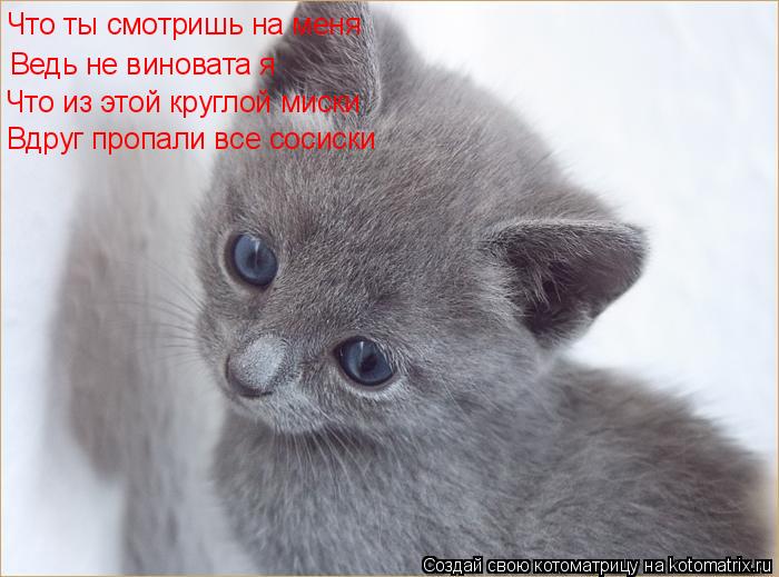 Что ты смотришь на меня Ведь не виновата я Что из этой круглой миски Вдруг пропали все сосиски... Котоматрица: Что ты смотришь на меня Ведь не виновата я Что из этой круглой миски Вдруг пропали все сосиски