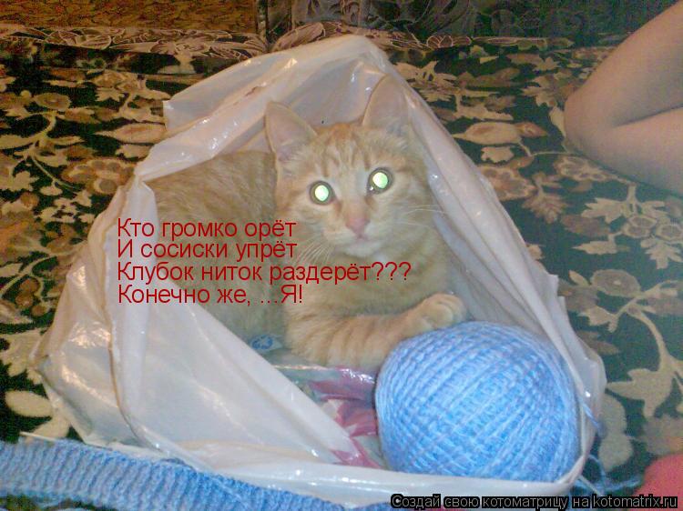 Кто громко орёт И сосиски упрёт Клубок ниток раздерёт??? Конечно же, ...Я!... Котоматрица: Кто громко орёт И сосиски упрёт Клубок ниток раздерёт??? Конечно же, ...Я!
