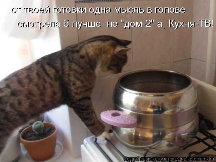 от твоей готовки одна мысль в голове смотрела б лучше не "дом-2" а, Кухня-ТВ!... Котоматрица: от твоей готовки одна мысль в голове смотрела б лучше не "дом-2" а, Кухня-ТВ!