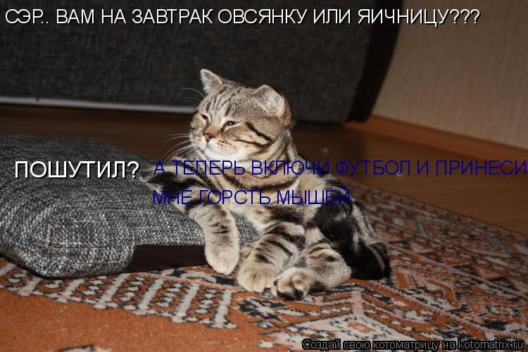 Котоматрица: СЭР.. ВАМ НА ЗАВТРАК ОВСЯНКУ ИЛИ ЯИЧНИЦУ???  А ТЕПЕРЬ ВКЛЮЧИ ФУТБОЛ И ПРИНЕСИ МНЕ ГОРСТЬ МЫШЕЙ ПОШУТИЛ?