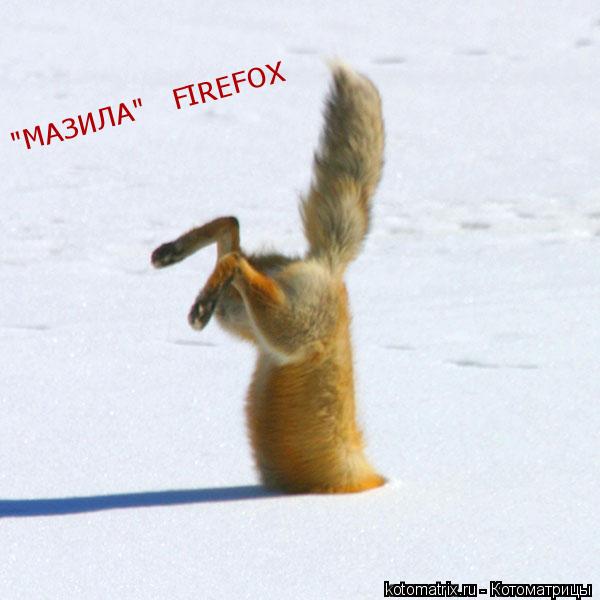 Котоматрица: "МАЗИЛА"   FIREFOX