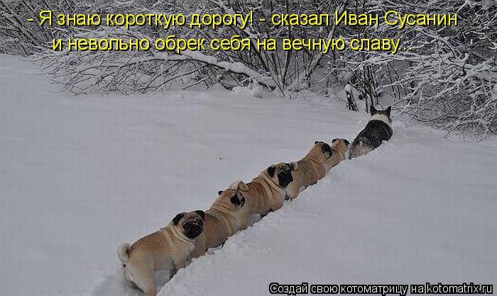 - Я знаю короткую дорогу! - сказал Иван Сусанин и невольно обрек себя на вечную славу...... Котоматрица: - Я знаю короткую дорогу! - сказал Иван Сусанин и невольно обрек себя на вечную славу...