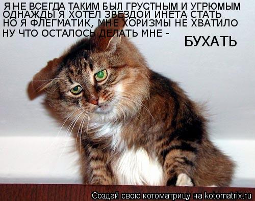 Котоматрица: Я НЕ ВСЕГДА ТАКИМ БЫЛ ГРУСТНЫМ И УГРЮМЫМ ОДНАЖДЫ Я ХОТЕЛ ЗВЕЗДОЙ ИНЕТА СТАТЬ НО Я ФЛЕГМАТИК, МНЕ ХОРИЗМЫ НЕ ХВАТИЛО НУ ЧТО ОСТАЛОСЬ ДЕЛАТЬ М