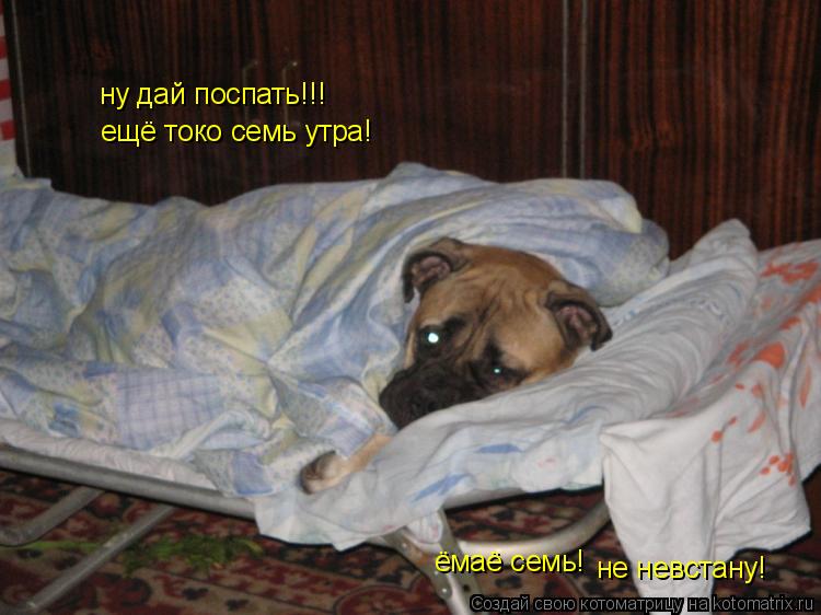 ну дай поспать!!! ещё токо семь утра! ёмаё семь! не невстану!... Котоматрица: ну дай поспать!!! ещё токо семь утра! ёмаё семь! не невстану!